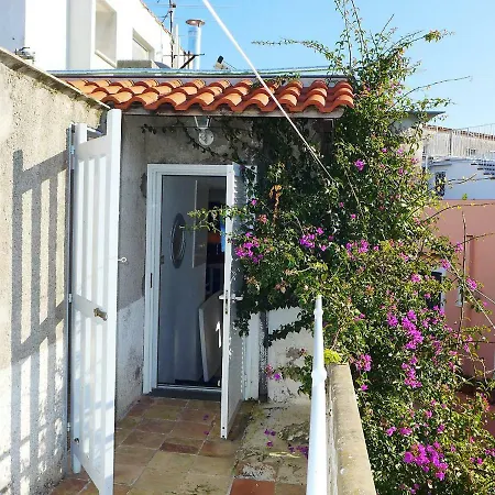 Apartament Lo Scuopolo-3 By Interhome *